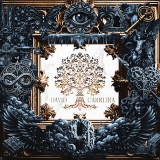 VINIL DAVID CARREIRA
